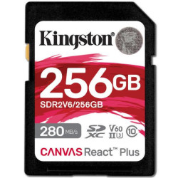 SDR2V6/256GB