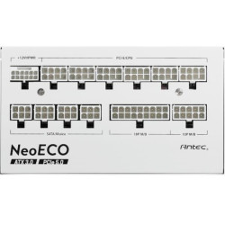 NE1000G-W