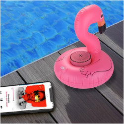 POOLFLAMINGO