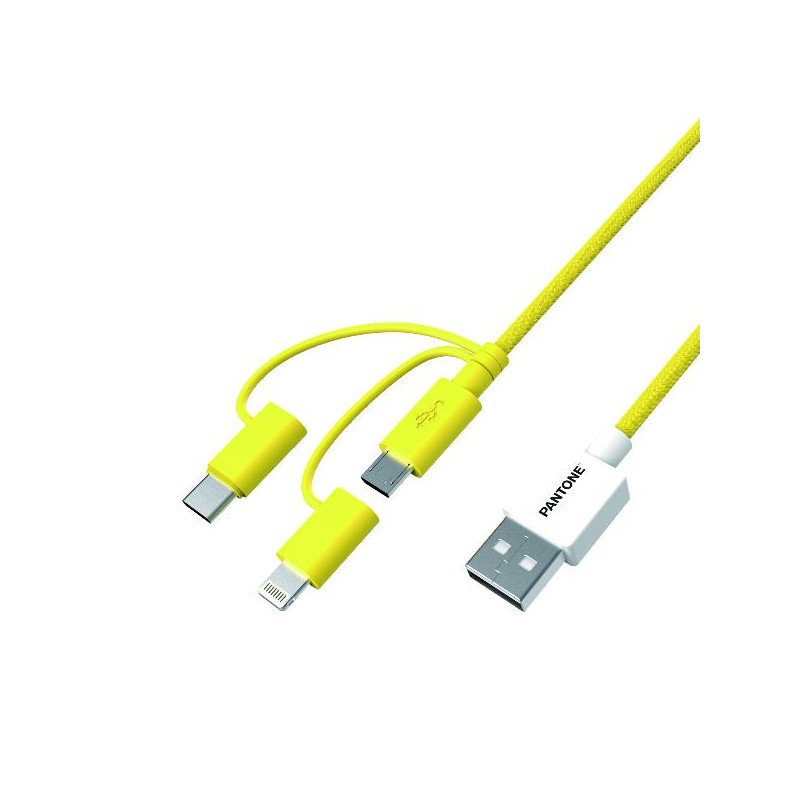 PT-USB003Y1