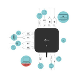 C31DUALDOCK100W