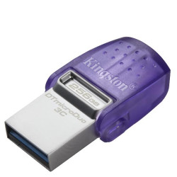 DTDUO3CG3/256GB